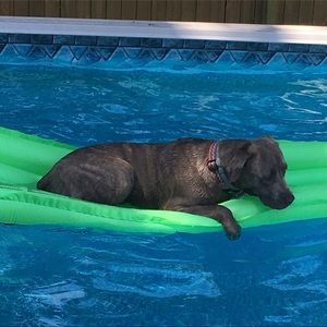 Meet your Posher, Kelly ann